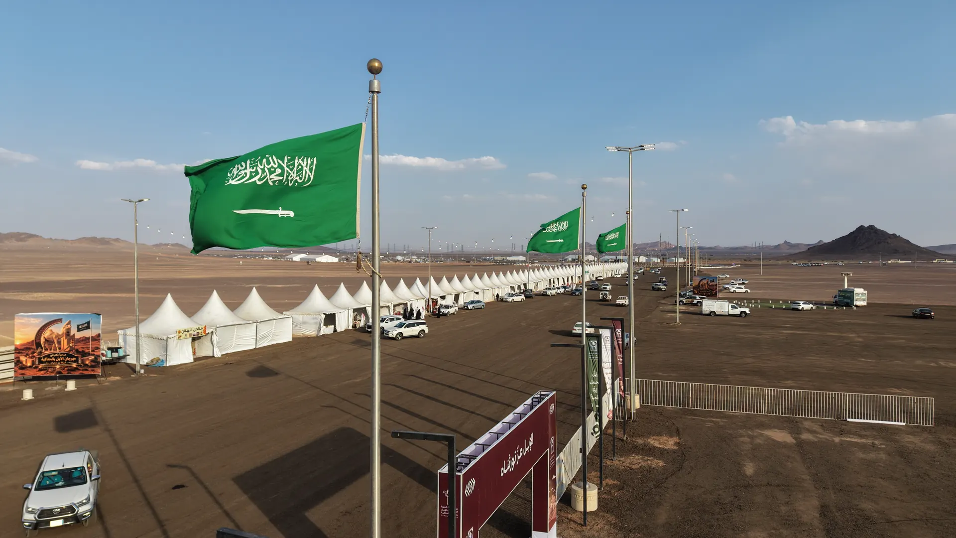 قطيع من الإبل في ساحة المزاد